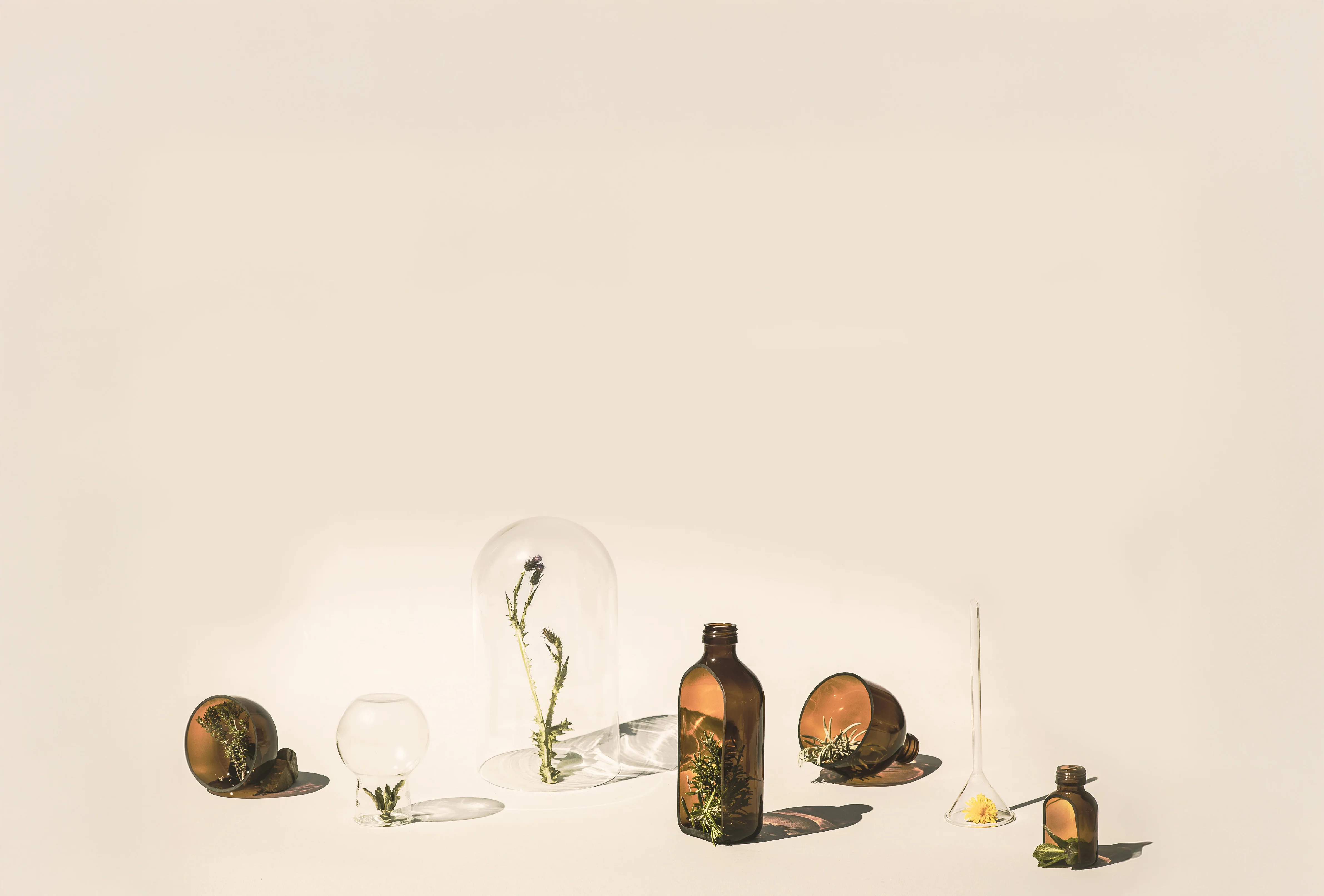 Pure Biodynamic Beauty for You